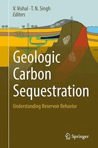 Geologic Carbon Sequestration -  - E-Book