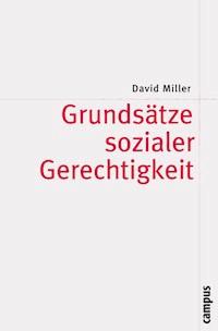 Grundsätze sozialer Gerechtigkeit - David Miller - E-Book
