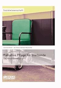Palliative Pflege für Sterbende - Barbara Mayerhofer - E-Book