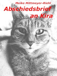 Abschiedsbrief an Kira - Meike Mittmeyer-Riehl - E-Book