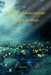 Reinhard Schneider und das Erwachen der Magie - Eine Zauberer Hexen Magier Fantasy Magic Zauberschule Nürnberg Geschichte - Daniel Perl - E-Book
