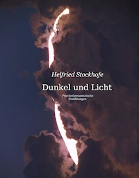 Dunkel und Licht - Helfried Stockhofe - E-Book