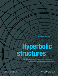 Hyperbolic Structures - Matthias Beckh - E-Book