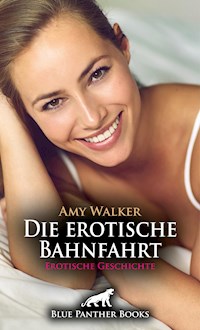 Die erotische Bahnfahrt | Erotische Geschichte - Amy Walker - E-Book