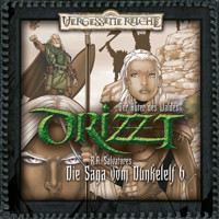 DRIZZT, Folge 6: Der Hüter des Waldes - R.A. Salvatore - Hörbuch