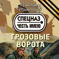 Грозовые ворота - Тамоников Александр - Hörbuch