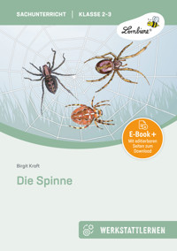 Die Spinne - Birgit Kraft - E-Book