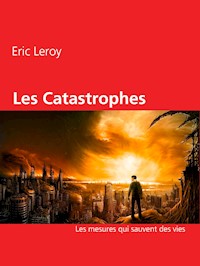 Les Catastrophes - Eric Leroy - E-Book