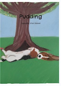 Pudding - Nolwen Gautier-Rosé - E-Book