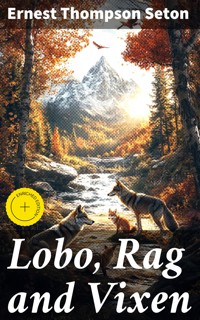 Lobo, Rag and Vixen - Ernest Thompson Seton - E-Book
