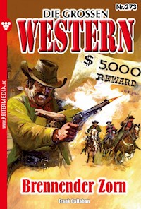 Brennender Zorn A - Frank Callahan - E-Book