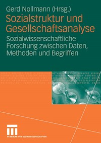 Sozialstruktur und Gesellschaftsanalyse -  - E-Book
