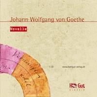 Novelle - Johann Wolfgang von Goethe - E-Book + Hörbuch