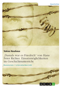 "Damals war es Friedrich" von Hans Peter Richter. Einsatzmöglichkeiten im Geschichtsunterricht - Tobias Neuhaus - E-Book