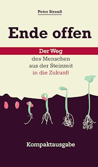Ende offen - Der Weg des Menschen aus der Steinzeit in die Zukunft - Peter Strauß - E-Book