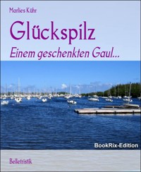 Glückspilz - Marlies Kühr - E-Book