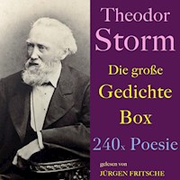 Theodor Storm: Die große Gedichte Box - Theodor Storm - Hörbuch