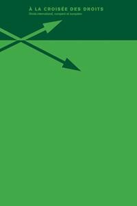 La transposition de la "directive retour" -  - E-Book