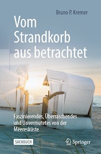 Vom Strandkorb aus betrachtet - Bruno P. Kremer - E-Book
