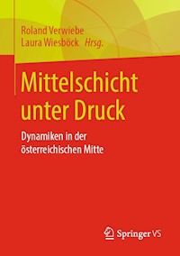 Mittelschicht unter Druck - - E-Book