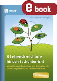6 Lebenskreisläufe für den Sachunterricht - Silvia Segmüller-Schwaiger - E-Book