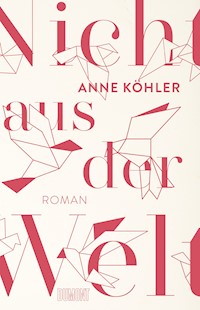 Nicht aus der Welt - Anne Köhler - E-Book