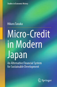Micro-Credit in Modern Japan - Hikaru Tanaka - E-Book