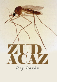 Zudacaz - Rey Barhu - E-Book