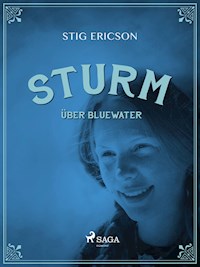 Sturm über Bluewater - Stig Ericson - E-Book