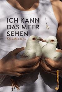 Ich kann das Meer sehen - Koos Meinderts - E-Book