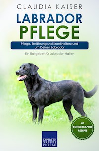 Labrador Pflege - Claudia Kaiser - E-Book