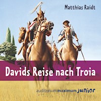 Davids Reise nach Troia (Ungekürzt) - Matthias Raidt - Hörbuch