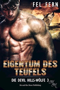 Eigentum des Teufels - Fel Fern - E-Book