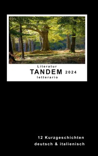 Literatur Tandem letterario 2024 - - E-Book