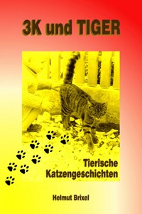 3K und TIGER - Helmut Brixel - E-Book