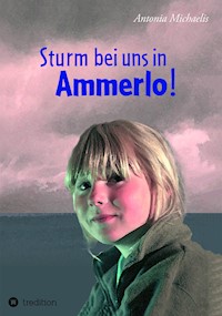 Sturm bei uns in Ammerlo! - Antonia Michaelis - E-Book