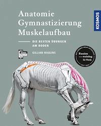 Anatomie, Gymnastizierung, Muskelaufbau - Gillian Higgins - E-Book