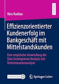 Effizienzorientierter Kundenerfolg im Bankgeschäft mit Mittelstandskunden - Nino Raddao - E-Book