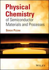 Physical Chemistry of Semiconductor Materials and Processes - Sergio Pizzini - E-Book
