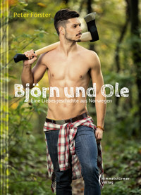 Björn und Ole - Peter Förster - E-Book