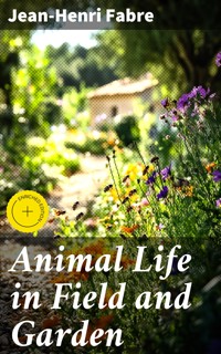 Animal Life in Field and Garden - Jean-Henri Fabre - E-Book
