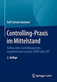 Controlling-Praxis im Mittelstand - Ralf Schmid-Gundram - E-Book