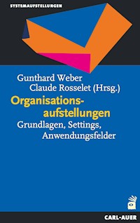 Organisationsaufstellungen -  - E-Book