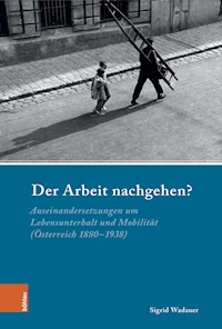Der Arbeit nachgehen? - Sigrid Wadauer - E-Book