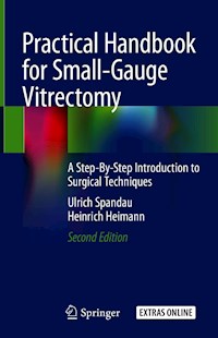 Practical Handbook for Small-Gauge Vitrectomy - Ulrich Spandau - E-Book