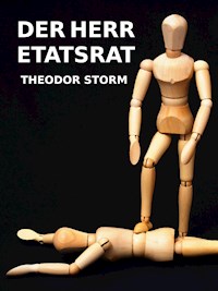 Der Herr Etatsrat - Theodor Storm - E-Book