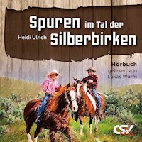 Spuren im Tal der Silberbirken - Heidi Ulrich - Hörbuch