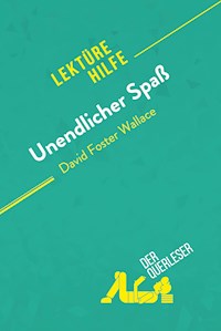 Unendlicher Spaß von David Foster Wallace (Lektürehilfe) - der Querleser - E-Book