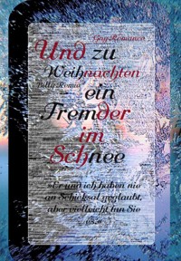 Und zu Weihnachten ein Fremder im Schnee - Billy Remie - E-Book