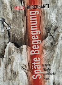 Späte Begegnung - Milla Burckhardt - E-Book